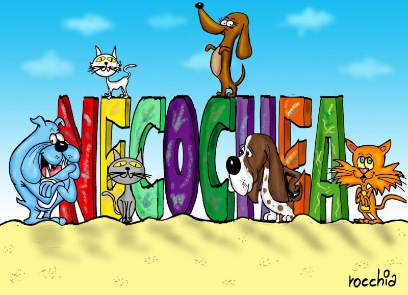 Superpoblación animal: poco compromiso por parte del Estado y desconocimiento de los concejales