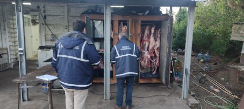 El municipio colaboró en un operativo con secuestro de animales, carne faenada y armas de fuego