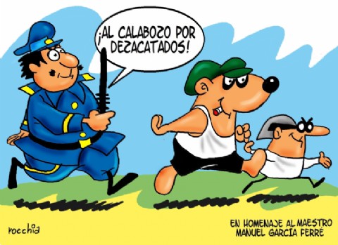 Allanamiento por robo: aprehendieron a una mujer y recuperaron elementos sustraídos