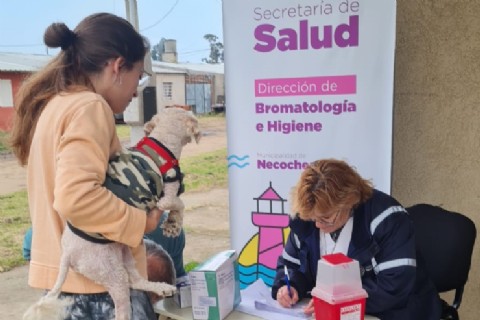 VIDEO | Este viernes habrá una campaña gratuita de vacunación antirrábica