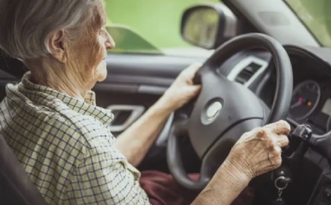 Una nueva ordenanza podría reducir costos de renovación de licencias para adultos mayores en un 80 por ciento