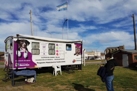 El Quirófano Móvil para mascotas operará en 10 y 93 durante enero y febrero