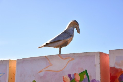 La gaviota, "acento" de la postal Quequén, se retiró para su mantenimiento