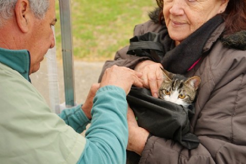 VIDEO | Buena respuesta de los vecinos a la jornada de vacunación antirrábica en la plaza del centro