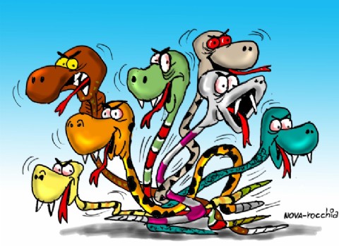 Más que una interna, un nido de víboras: variada propuesta de "Juntos"