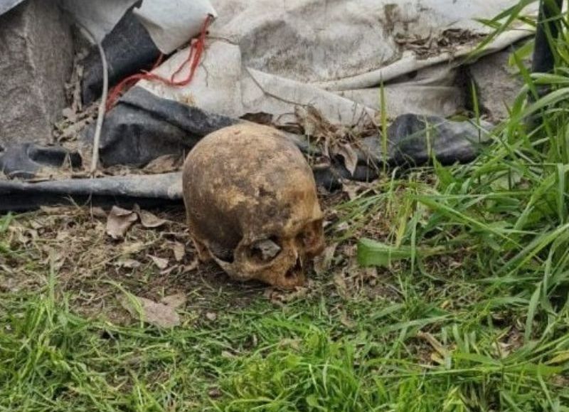 Macabro hallazgo: cortaba el pasto y encontró un cráneo humano