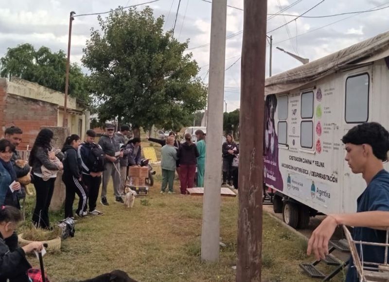 Quequén tendrá una nueva jornada gratuita de castración para perros y gatos el 27 de junio