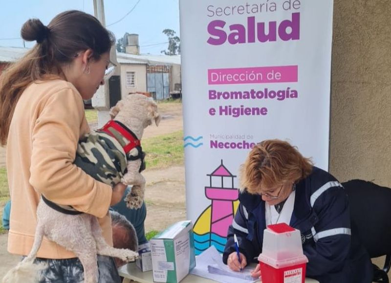 VIDEO | Este viernes habrá una campaña gratuita de vacunación antirrábica