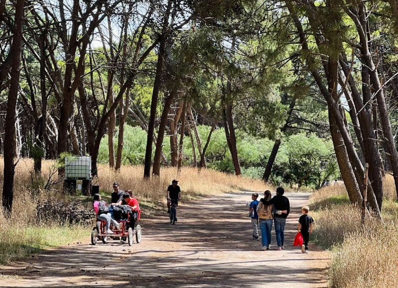 Buen índice de ocupación turística en los primeros días del año